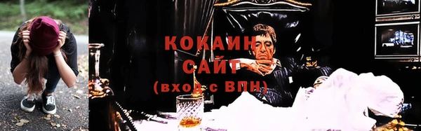 ешки Богданович