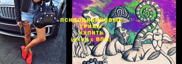 ешки Богданович