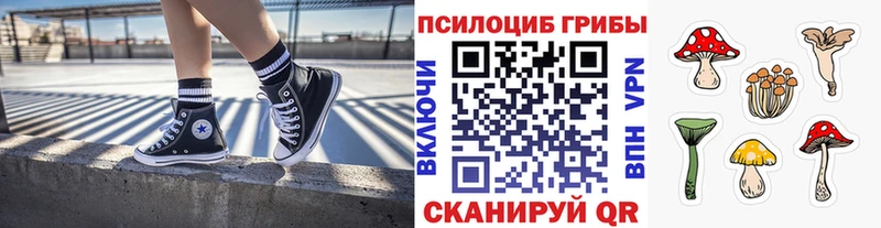 наркота  нарко площадка телеграм  Галлюциногенные грибы Psilocybine cubensis  Кировск 